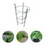 4 Pcs Flower Pots Indoor Plants Trellis Clips Climbing Plant Cage Climbing Plan Carousel 3