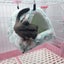 Cyan M Sleeping Rodent Plush Small House Hamster Hammock Toy Bed House For Gui Carousel 3