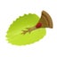Loading Image 1 of 5