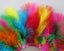Rainbow Marabou Feathers $1 Reserve Carousel 1