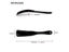 1pcs Professional Shoe Horns Plastic Shoe Horn Spoon Shape Shoehorn Shoe Lifter Carousel 4