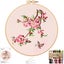 Embroidery Kit Complete With Cross Stitch Canvas Embroidery Hoop Embroidery Carousel 1