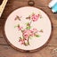Embroidery Kit Complete With Cross Stitch Canvas Embroidery Hoop Embroidery Carousel 4