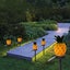Decorative Solar Lights For Outdoor Garden Set Of 2 Pineapple Waterproof Land Carousel 4