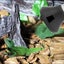 Loading Image 1 of 3