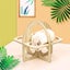 5 Pack Wooden Hamster Toyshideout For Housediyswing And Training Toycagep Carousel 4