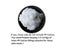 Sofa Cover Cartoon Children Plush Seat Sofa Comfortable Animal Panda Baby Carousel 4