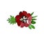 Metal Flower Corsage - Red Poppy Carousel 1