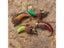 Fishing Lure Fishing Lures Carousel 7