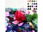 10/20 Pcs New Acoustic Picks Plectrum Celluloid Electric Smooth Guitar Pick Carousel 5