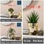 Brand New Artificial Plants Succulent Decor Golden Ceramic Pot *Sale NOW* Carousel 7