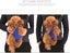 Universal Pet Backpackxl 41*25cm Travel Backpack For Dogs And Cats-adjustable Carousel 3