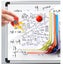 12PCS/Pack 3cm Assorted Whiteboard Magnets Round Button Office Refrigerator Carousel 4
