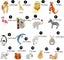17 Pack Clothing Iron-on Patches Animal Iron-on Patches With Cute Animal Style Carousel 5