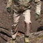 Multi-Pocket Men's Military Tactical Casual Pants Cargo Pants Carousel 2