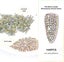 1440 Pieces Of Nail Pom Poms 2mm Crystal Ab Tassel Nail Gems Tassel Face Na Carousel 3
