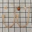 Black Curtain Tiebacks 2 Packs Metal Hooks Wall Mounted For Curtains And D Carousel 3