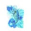 Diamond Painting Full Rhinestones Blue Seahorse Animals Diy Diy 5d Diamond Em Carousel 1