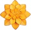 Loading Image 1 of 5