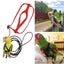 Loading Image 1 of 3