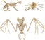 3pcs Halloween Bat Skeleton Halloween Spider Skeleton Halloween Mouse Skeleton Carousel 1