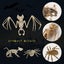 3pcs Halloween Bat Skeleton Halloween Spider Skeleton Halloween Mouse Skeleton Carousel 3