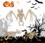 3pcs Halloween Bat Skeleton Halloween Spider Skeleton Halloween Mouse Skeleton Carousel 4