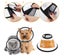 Dog Cone Collar, Dog Cone Collar for After Surgery Anti-Bite Lick Carousel 8