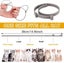 Cat Flea Collar , Flea Tick Collar Carousel 3