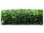 Artificial Hedge Wall Creeping Fuschia 3m² Carousel 2