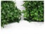 Artificial Hedge Wall Creeping Fuschia 3m² Carousel 4