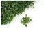 Artificial Hedge Wall Creeping Fuschia 3m² Carousel 5