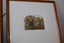 +++ NZ ARTIST "STEPHEN WHITTLE "(2) LIMITED EDITION PRINTS +++ Carousel 7