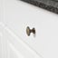 Cabinet Knob Set Of 10 Aged Brass Carousel 5