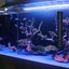3 Pieces Temperature Meter Sticker Stick-on Thermometer Strip Fish Tank Water Carousel 4