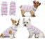 Recovery Suit For Puppy Dog Surgical Recovery Suit For Abdominal Wounds Or Ski Carousel 1
