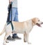 Loading Image 1 of 5