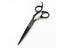 Hair Scissors Carousel 5