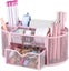 Pink Desk Organizer For Desk Supplies And Accessories Cute Wire Pen Organizer Carousel 1