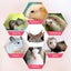 Guinea Pig Hammock Warm 3-tier Guinea Pig Hammock For Playing And Resting S Carousel 3