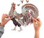 Loading Image 4 of 4