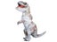 Loading Image 1 of 9