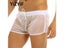 Sexy Underwear Carousel 2