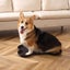 Memory Foam U-shaped Contour Toilet Rugs Non Slip Absorbent Toilet Mat Thick Carousel 4