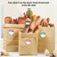 Days Of The Week Stickers 7000 Food Labels Circle Dot Food Labels For The Wh Carousel 2
