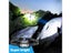 Mini Rechargeable Sensor Headlamp LED Work Light Outdoor Camping Fishing Light Carousel 4