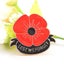 Remember Memorial Day Gift Red Black Poppy Brooch Pin Lest We Forget Lapel Pin Carousel 4