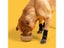 Dog Socks Foot Cover Outdoor Warm Claws Non-slip Shoes Extra-thick Grip With Carousel 2