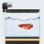 Automatic Aquarium/fish Food Dispenser Multifunctional Adjustable Fish Dispen Carousel 2
