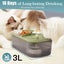 Water Fountain For Cats Inside Cat Feeding Watering Supplies Super Quiet A Carousel 5